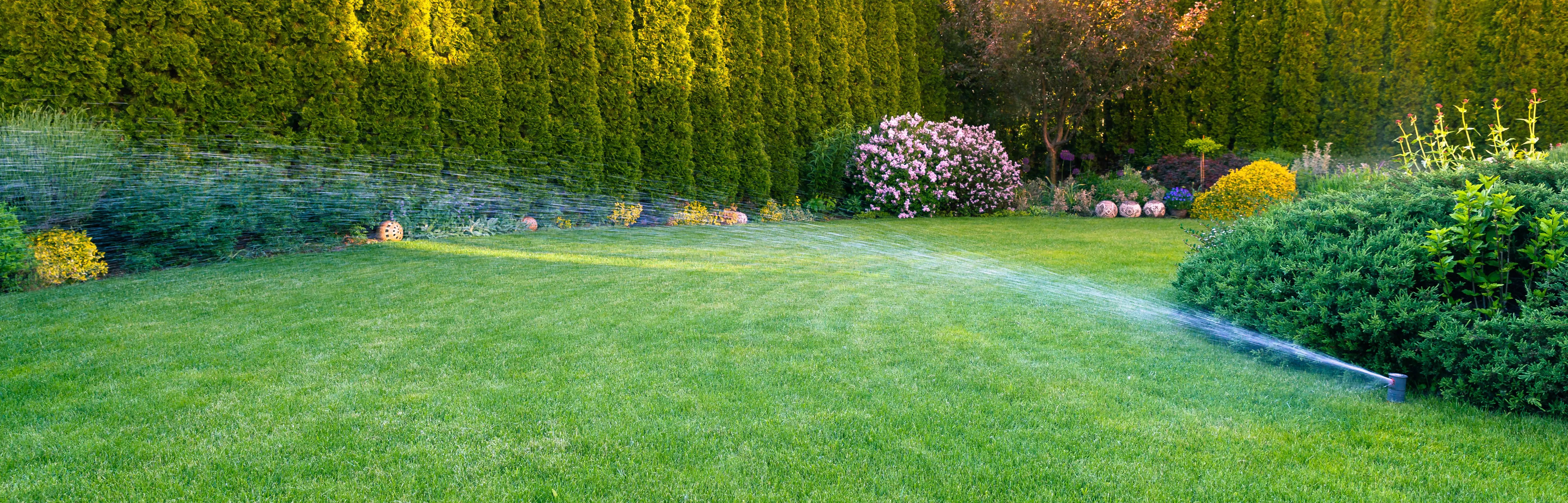 Lawn care and maintenance service in Ocean County, NJ